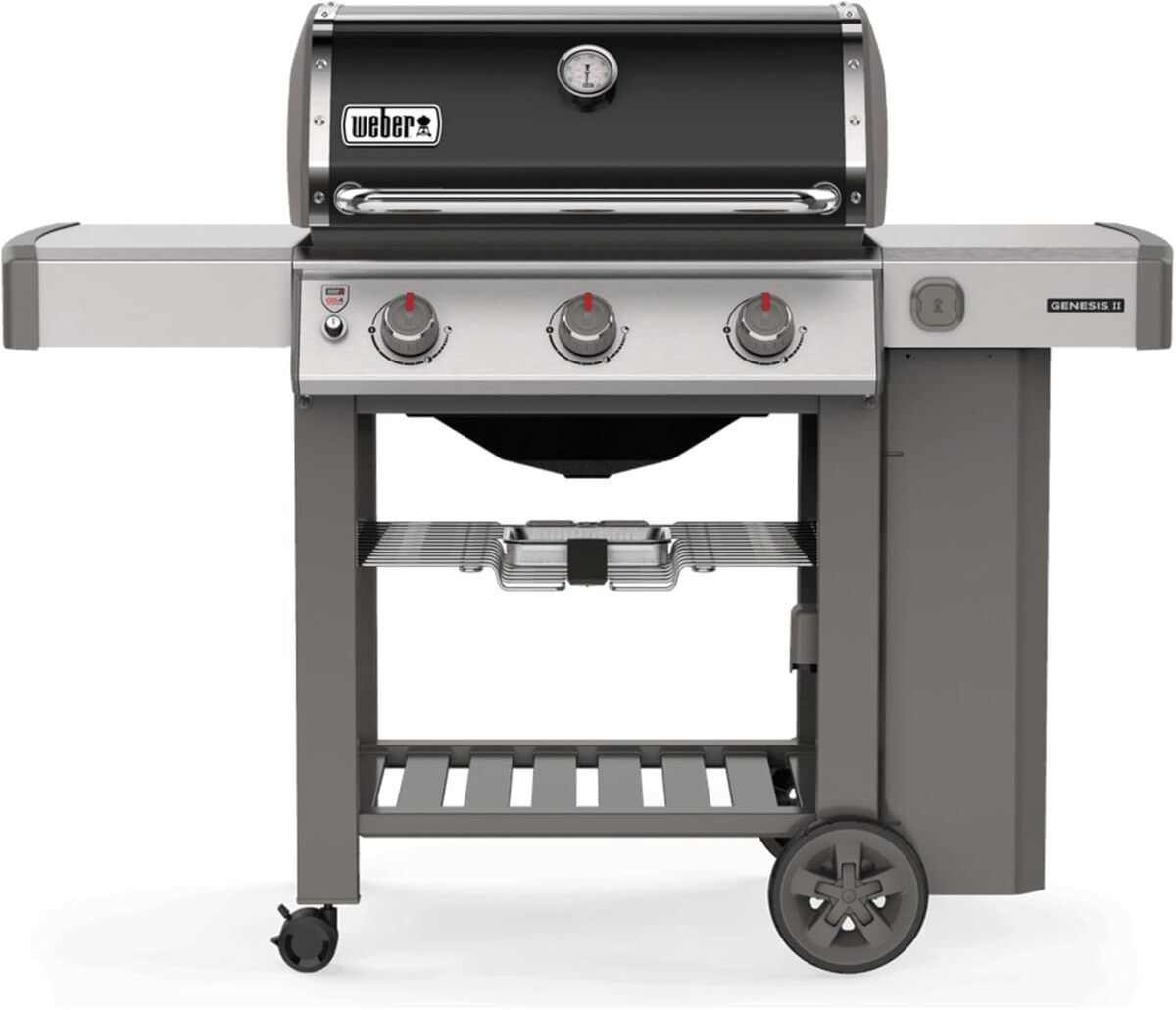Test du Genesis Gas Grill II E-310 GBS