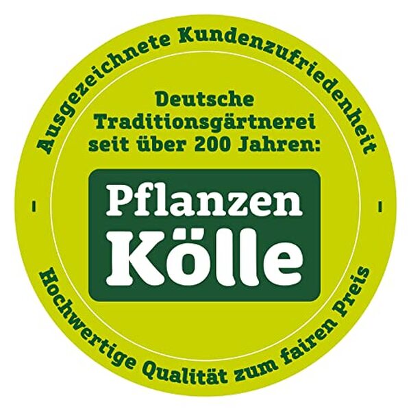 Découvrez l'efficacité du barbecue à gaz enders Monroe Pro 3 SIK Turbo : un allié pour vos grillades réussies à chaque cuisson avec puissance et praticité.