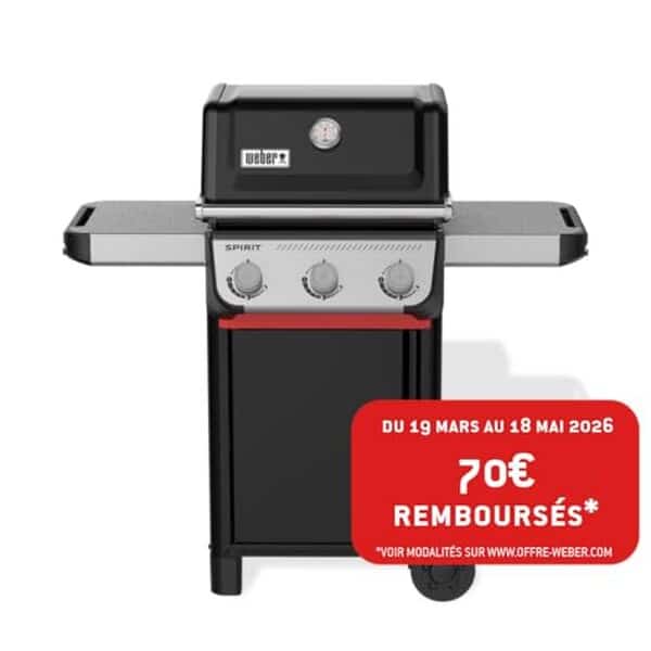 Découvrez notre test complet du barbecue à gaz Weber Spirit E-310 avec 3 brûleurs puissants et grille haute performance. Avis détaillé et conseils d'achat.
