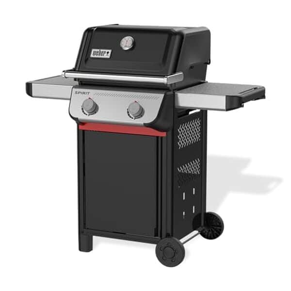 Découvrez notre test détaillé du barbecue à gaz Weber Spirit E-210 : performances, design, avantages et inconvénients pour bien choisir votre grill. 