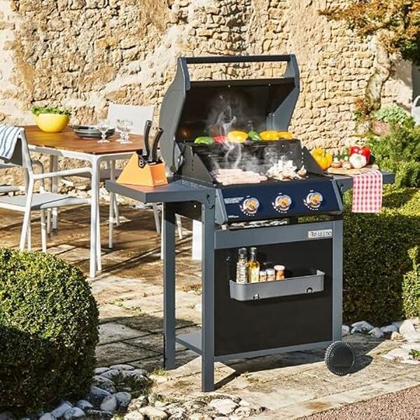 Découvrez notre test complet du brasero Favex Spring II, barbecue gaz 3 brûleurs performant. Avis, caractéristiques et prix pour bien choisir votre barbecue. 